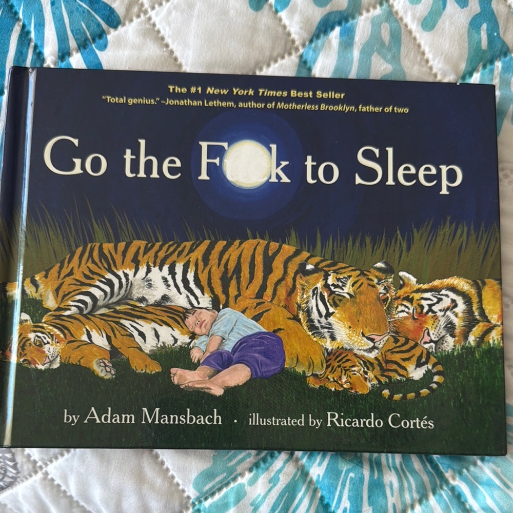 Go the F**k to Sleep Book